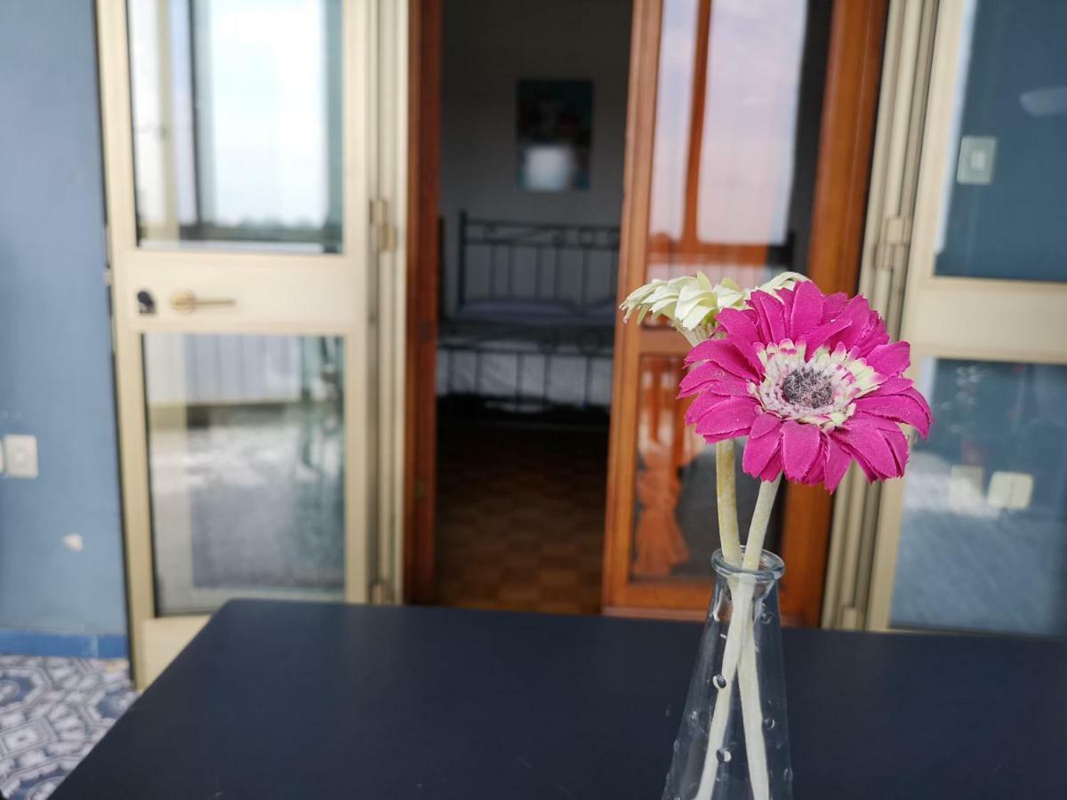 B&B Colombo ピサ エクステリア 写真